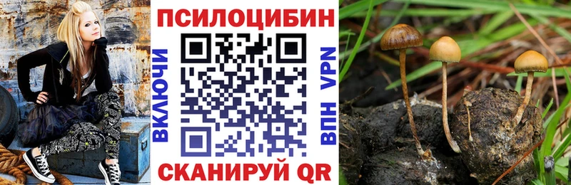 Псилоцибиновые грибы GOLDEN TEACHER  Железногорск-Илимский 